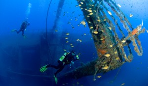 Arona wreck dive canaries