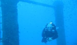 wreck dive las palmas gran canaria 