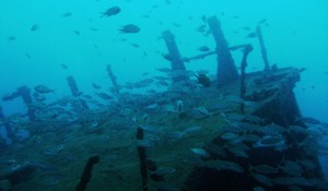 wreck diving little kalais  